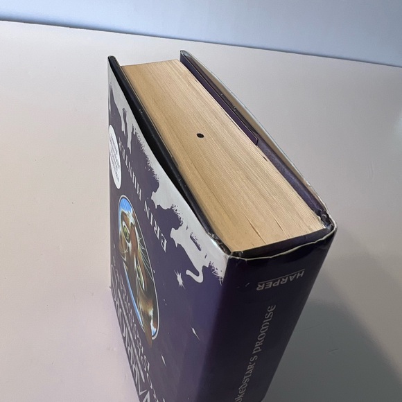 Crookedstar's Promise WARRIORS SUPER EDITION - Picture 4 of 7